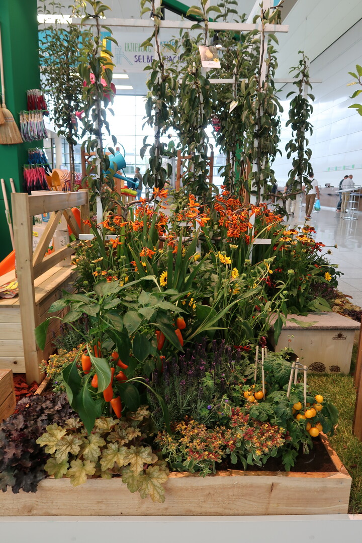 "Kids Garden" 