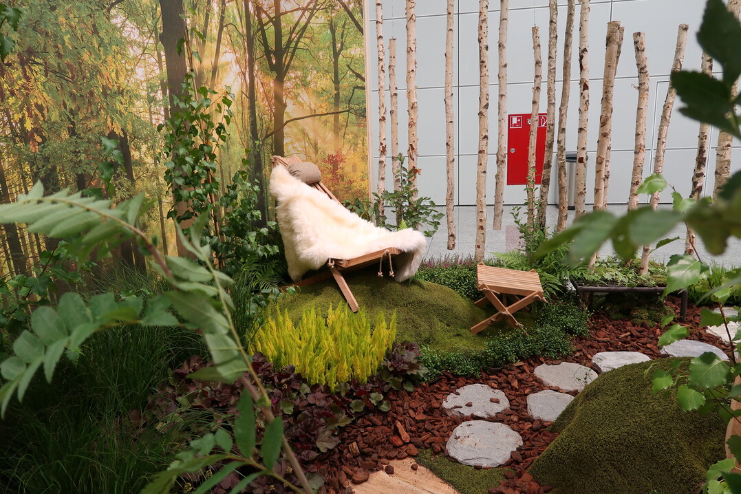  "Wellness in Nature"