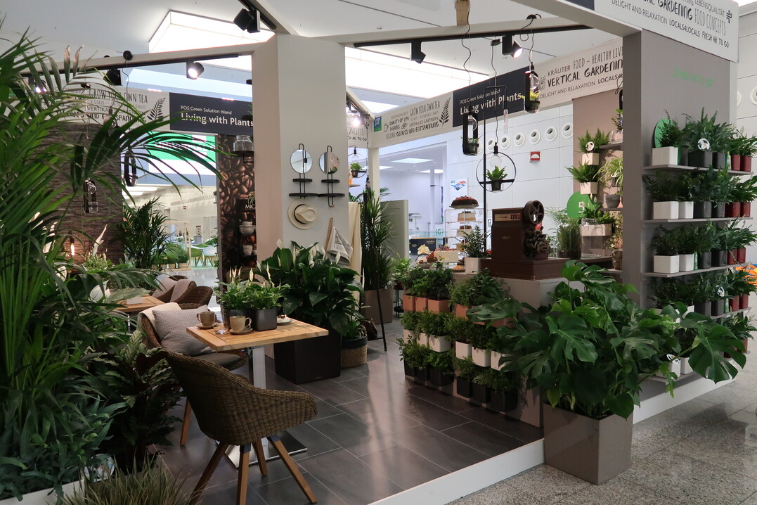 "Living with plants  My Tiny Coffee Shop"