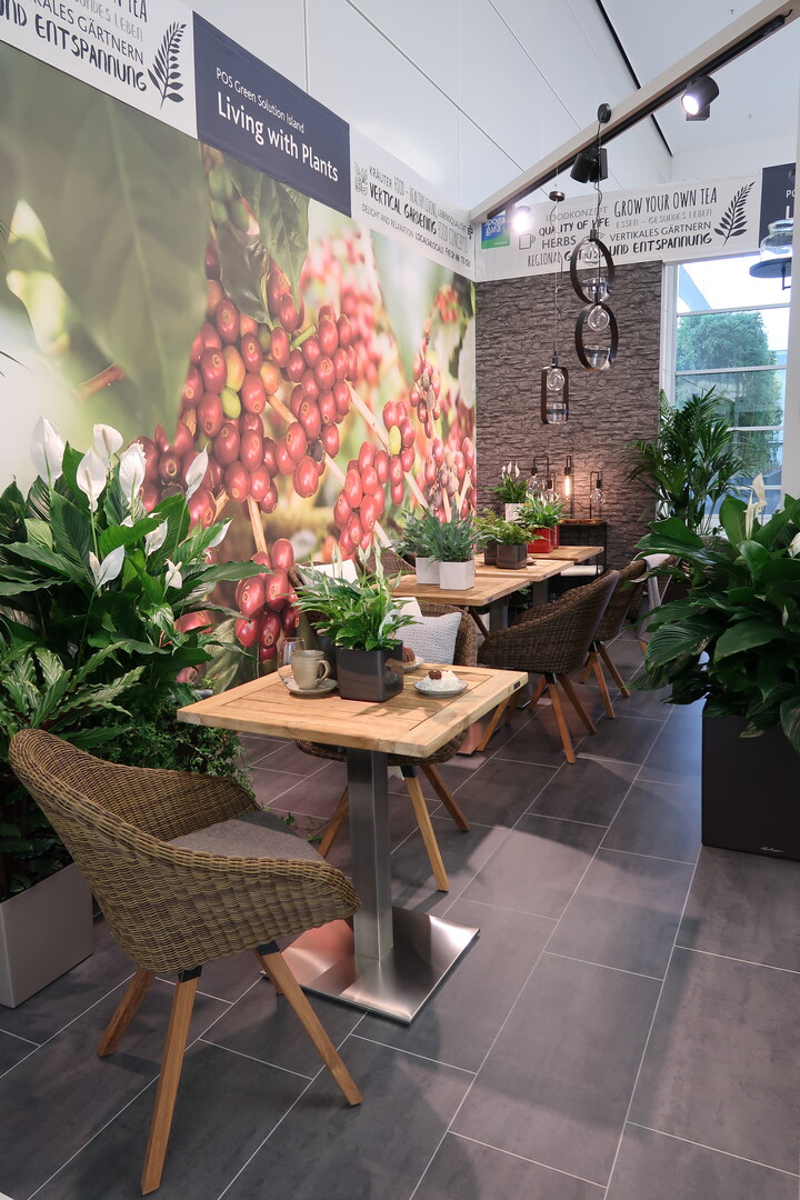 "Living with plants  My Tiny Coffee Shop"