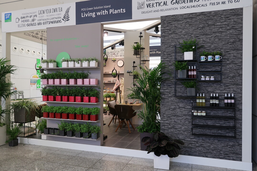 "Living with plants  My Tiny Coffee Shop"