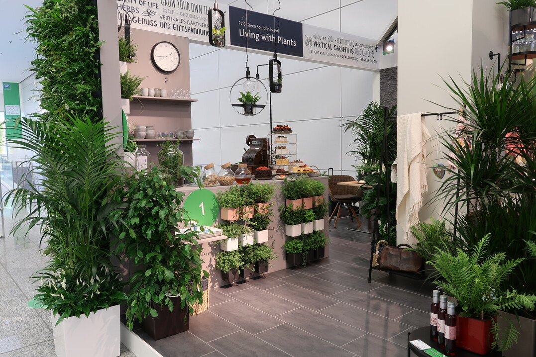 "Living with plants  My Tiny Coffee Shop"