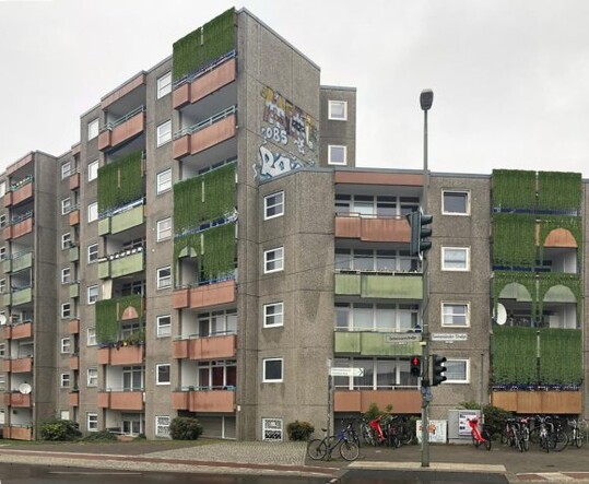 Das Kollektiv Bioblinds erarbeitet kostenlose und frei nutzbare Anleitungen fr die Herstellung von Pflanzenvorhngen.