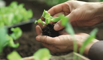 Pnktlich zum Start in die Gartensaison ist ein weiterer Meilenstein in puncto naturnahes Grtnern bei Hornbach erreicht: Das Floraself-Qualittssiegel ist in allen Lndern des Hornbach-Verbreitungsgebiets eingefhrt.