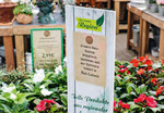 Im Gartencenter Christ in Glauburg Stockheim wird die Herkunft regionaler Pflanzen konsequent und transparent am POS kommuniziert.