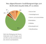 Nicht der Rückgang der Auszubildenden macht Sorgen, auch ein Blick auf die absoluten Zahlen stimmt nachdenklich.