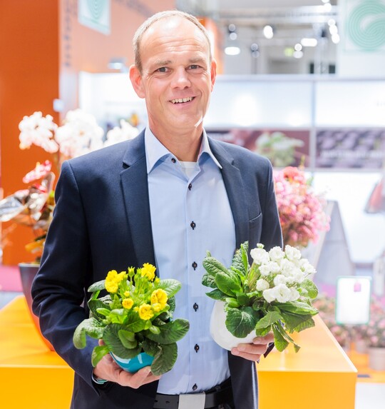 In der Kategorie Frhjahrsblher machte in 2023 eine ganze Serie das Rennen.Primula polyantha Pollyanna mit den Sorten Flame, Frosty White und Sunny Yellow von Kientzler Jungpflanzen aus Gensingen. Volle und zahlreiche Bltenstngel garantieren eine lange Bltezeit.  Im Bild: Andreas Kientzler.