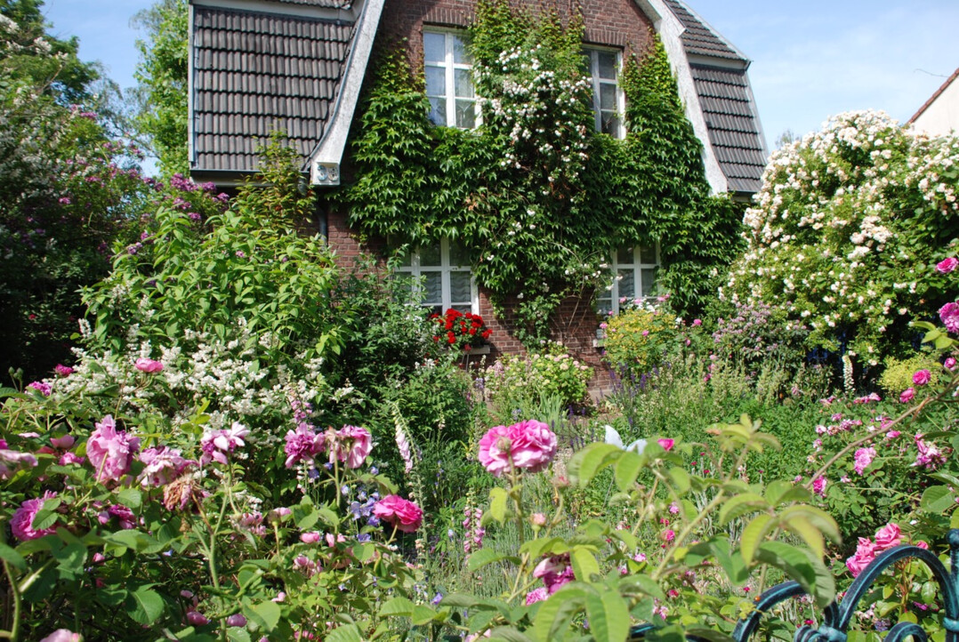 Die schönsten in NRW gekürt DEGA GRÜNER MARKT