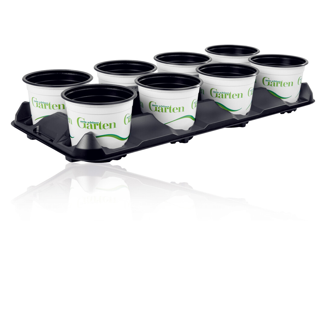 Durch ihre flache Bauweise bieten die Marketingtrays der PT-Serie von Pöppelmann TEKU einen großflächigen Sichtbereich auf bedruckte Pflanztöpfe