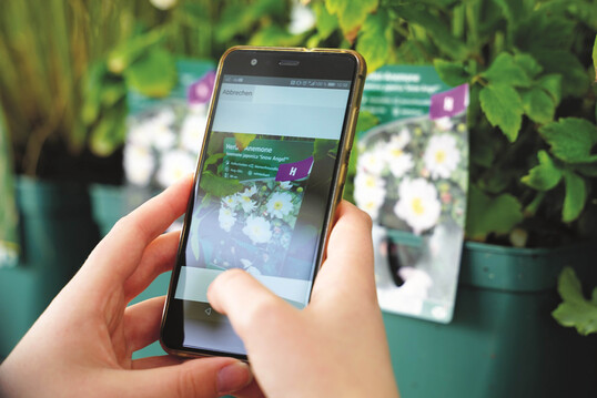 Die Bestell-App des Stauden Rings verfügt über eine EAN-Scanfunktion für das leichte nachbestellen.