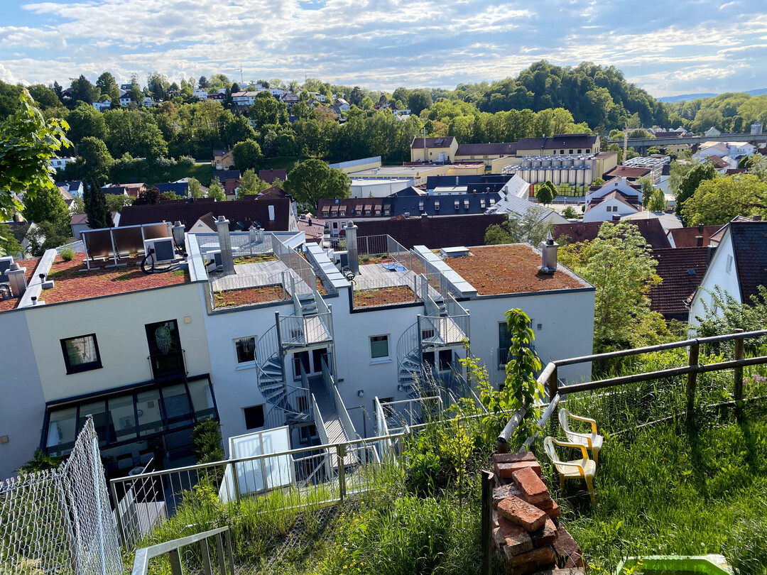 Die Dachbegrnung ist Ausbildungsinhalt im neuen Lehrberuf Klimagrtner/in.