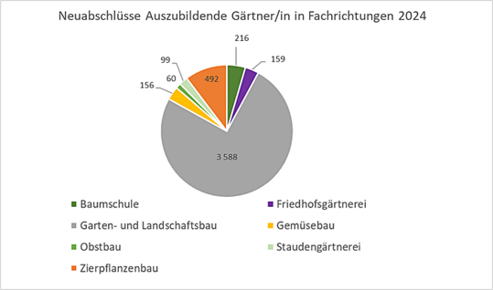 Übersicht der Neuabschlüsse Ausbildungsverträge nach Fachrichtungen im Zeitraum 1. Oktober 2023-30. September 2024 laut BiBB-Statistik