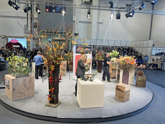 Zum ersten Mal nach ihrem Erfolg bei der Deutschen Meisterschaft der Floristik/DMF im August 2024 in Berlin stand Deutschlands bestes Floristik-Trio wieder gemeinsam auf einer Bhne. Meisterflorist Josef Dirr aus Baden Wrttemberg, Vizemeisterin Lena Hartmann aus Schleswig-Holstein und Jennifer Mhlbauer aus Sachsen prsentierten in drei groen Shows praxisnahe blumige Ideen fr die bevorstehende Frhjahrs-Saison: sympathisch, kompetent, mitreiend und inspirierend. Elisabeth Schoenemann aus Hamburg moderierte durch die Veranstaltungen, die der FDF gemeinsam mit dem Blumengrohandel Buhk aus Hamburg prsentierte. Die Fleurop hatte als Mitveranstalter der Deutschen Meisterschaft der Floristik die drei hochkartigen Bhnenshows ebenfalls untersttzt.