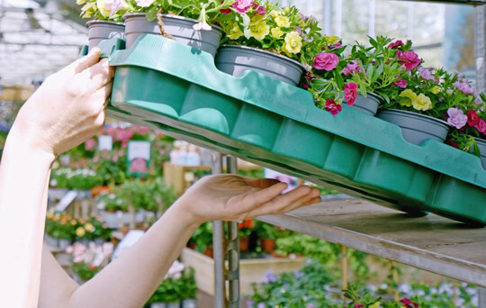 Mehrweg-Pflanzentray der Euro Plant Tray
