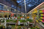 Das Gartencenter Augsburg in Bochum setzt auf klare Strukturen und niedrige Preise