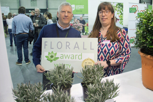 Der Florall Award in Gold ging an
<i> Lavandula intermedi</i>
a "Tesseract" (Sensational!) von Hoogenraad Handelskwekerijen BV