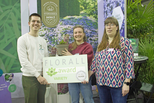 Florall Award in Silber ging an die niedrigwachsende
<i>Hydrangea serrata</i>
"Magic Pillow" von Plant Select.