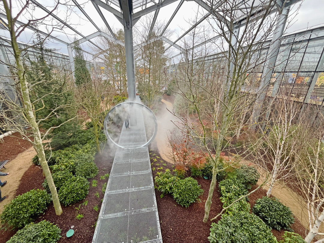Blick in den Zukunftsgarten