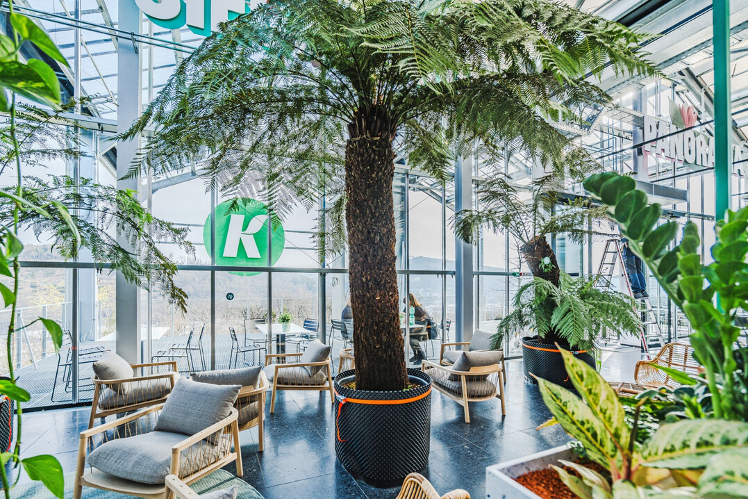 Vom Gartencaf erffnet sich der Blick ins Siegerland