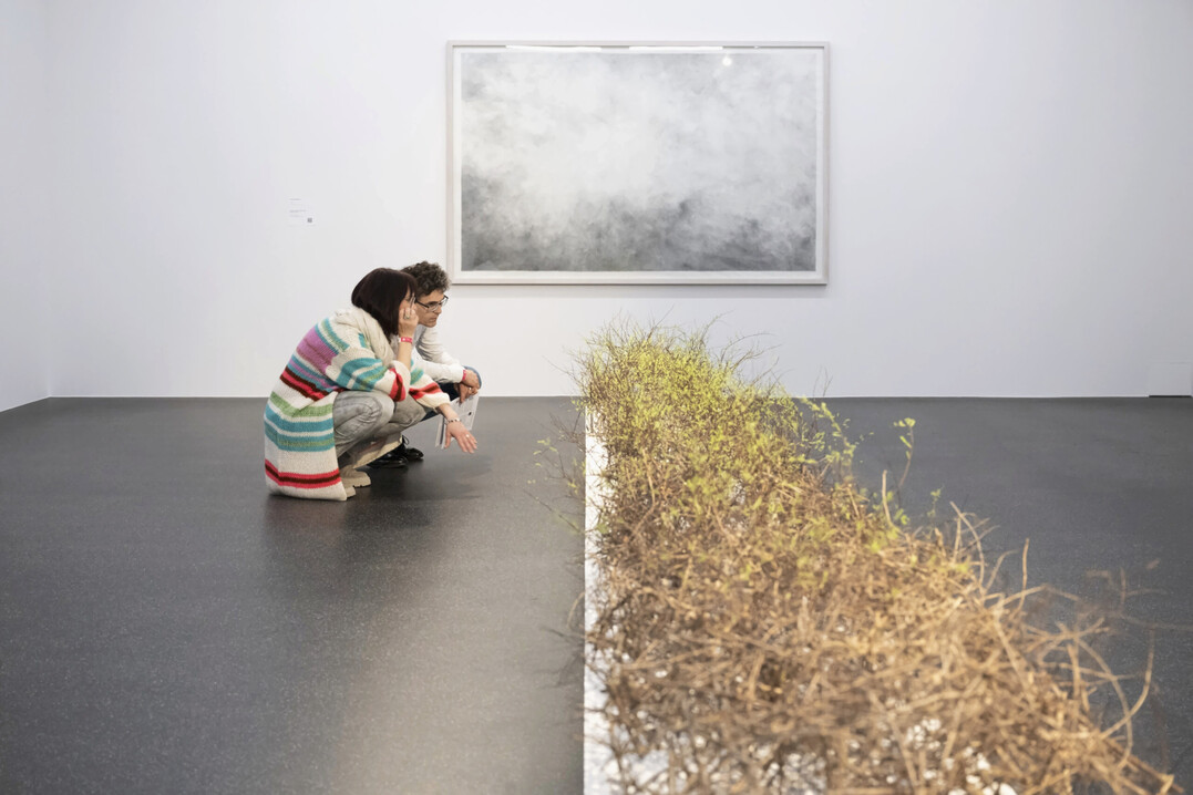 Florale Interpretation: Franziska Bürgi Rey, Kreuzlingen | Werk: Marianne Kuhn, Ohne Titel, 1994 | Aargauer Kunsthaus