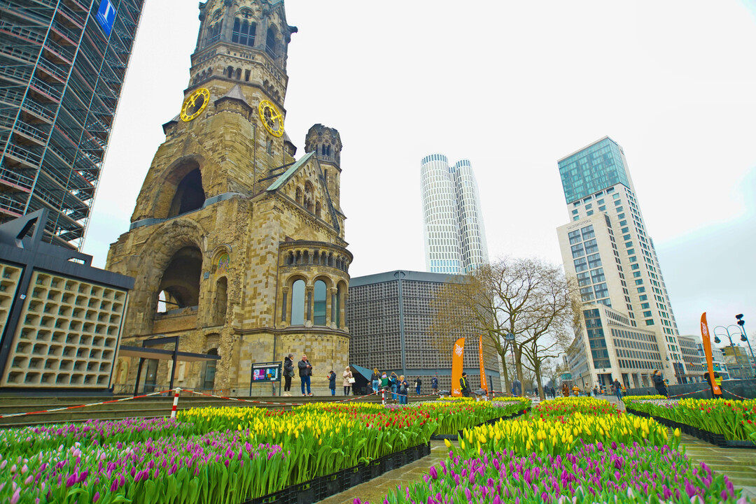 Am 15. Mrz 2025 organisierte die Vereinigung Tulpen Promotie Nederland (TPN) erstmals einen TulipDay in Berlin.