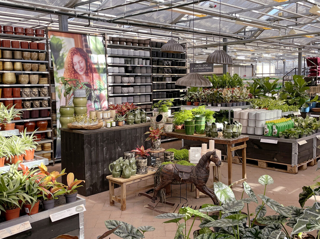 Die Plantagen-Märkte sind nicht in die klassischen Sortimentsbereiche gegliedert. Hier wird vielmehr zwischen inspirierenden Präsentations-Flächen und klaren Funktions-Bereichen unterschieden.