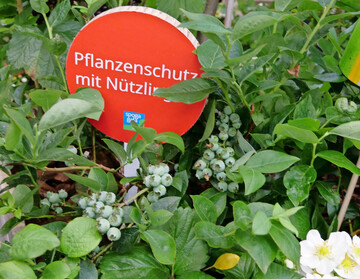 Nachhaltig beraten im Gartencenter.