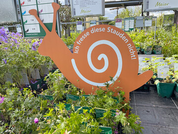 Snack-News sind die erlesene Wrze! Verspielte Elemente steigern bei Gartencenter Meier in Drnten den Einkaufs-Genuss.