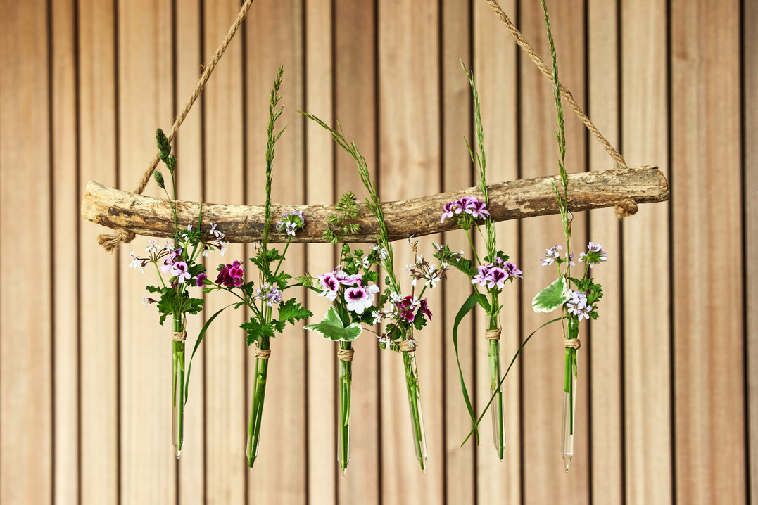 Geranien  eignen sich nicht nur fr die Bepflanzung von Balkonksten, sondern auch als Schnittblumen in Struen und anderen kreativen Arrangements.