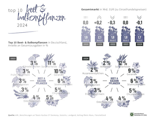 TOP 10  Beet- & Balkonpflanzen 2024