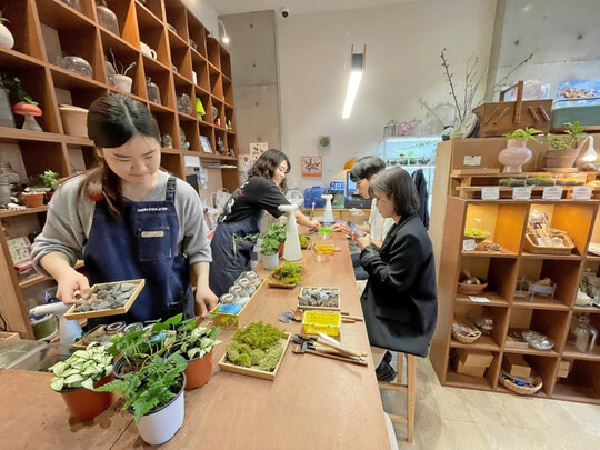 Beliebt  Terrarium Garden-Shop, wo man sich trifft und Tiny-Gardens pflanzt.