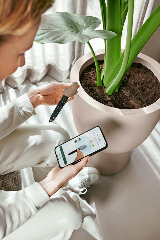 Der Smart Pebble hilft dem unsicheren Newcomer bei der Pflege seiner Pflanzen.
