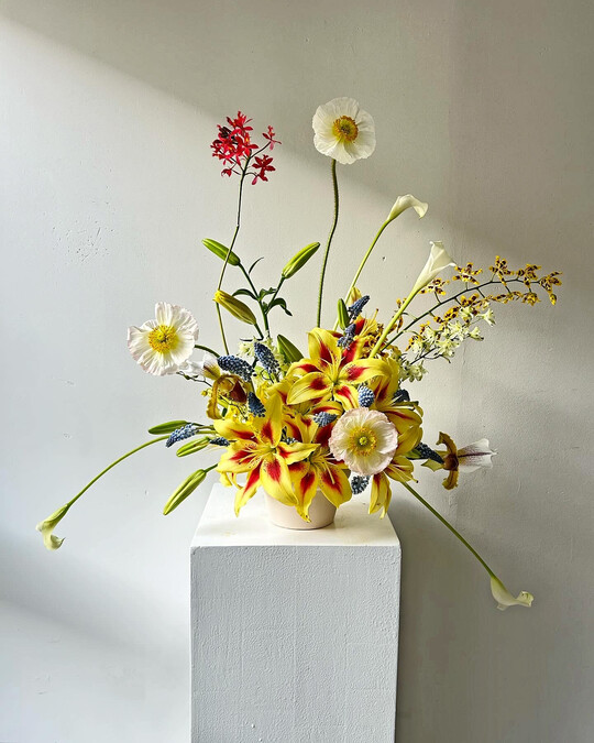Ariella verarbeitet Schnittblumen unabhängig von der Saison und Wertigkeit. Aufgeblühte Lilien bilden eine Basis, aus der Calla, Orchideen,
<i>Muscari</i>
und Mohnblüten entspringen.