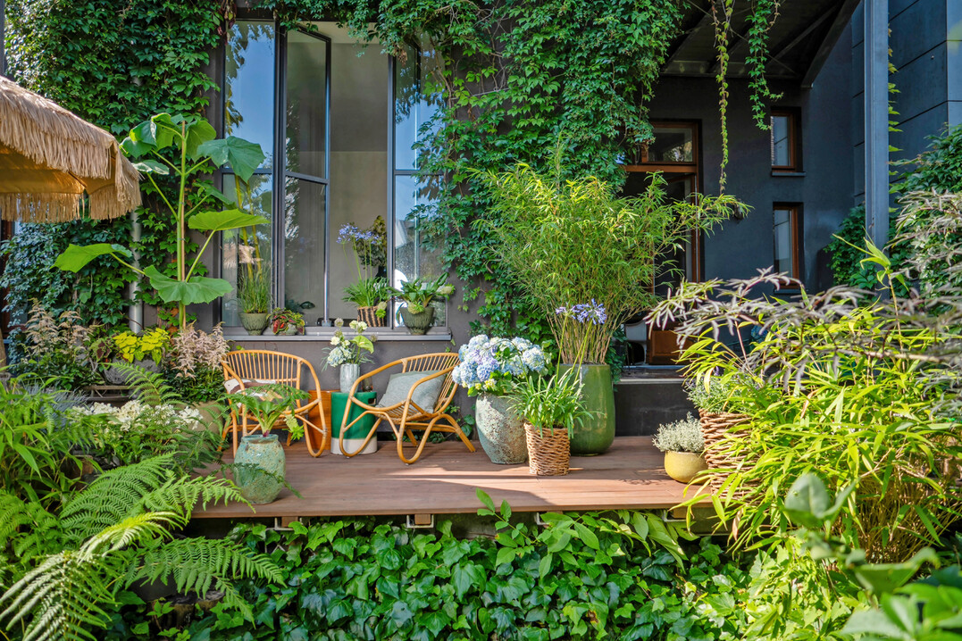 Biophilic boost  eine fast schon berbordende Pflanzenpracht im variantenreichen Gefemix sorgt fr ein wild-natrliches Patio-Feeling auf Balkonen und Terrassen. Exotische Schnheiten und heimische Klassiker treten miteinander in einen lebhaften Dialog.