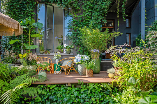 Biophilic boost  eine fast schon berbordende Pflanzenpracht im variantenreichen Gefemix sorgt fr ein wild-natrliches Patio-Feeling auf Balkonen und Terrassen. Exotische Schnheiten und heimische Klassiker treten miteinander in einen lebhaften Dialog.