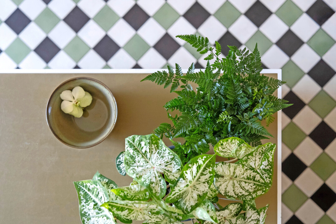 Mit dem Trend Biophilic boost kommt die Natur zurck in unsere vier Wnde, auf Balkone und in Grten. Grnpflanzen spielen dabei eine zentrale Rolle  sie schaffen Oasen der Ruhe und Regeneration. Ob groformatige Blattschnheiten, luftreinigende Pflanzen oder pflegeleichte Sukkulenten  die Verbindung von Mensch und Natur wird sprbar. 