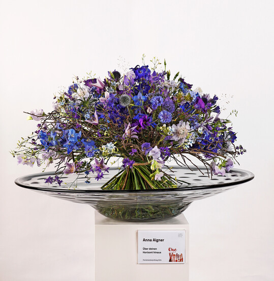 <b>Anna Aigner</b>
 zeigte einen ausladenden, ungewohnt flachen Strau. Unter dem Motto ber deinen Horizont hinaus kombinierte sie verstelte Zweige mit vielen verschiedenen weien, blauen und violetten Blten: 
<i>Delphinium</i>
, Wicken, 
<i>Clematis</i>
, 
<i>Oxypetalum</i>
, Kugeldisteln, Kornblumen, 
<i>Agapanthus</i>
 