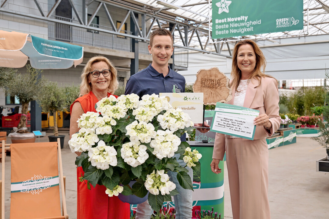 <i>Hydrangea macrophylla</i>
 `Arctic Circle als Beste Neuheit beim Green Retail Award 2025 gekrt.