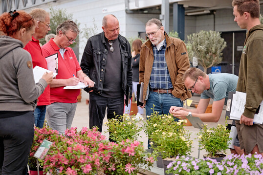Die KVBC-Prfungskommission bei der Bewertung der Einreichungen zum Green Retail Award.