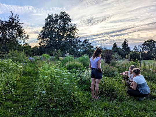 Eine Teilnehmerin kam über eine schwierige persönliche Zeit zur Floristik, wurde durch Zufall auf Mitglieder der englischen Slowflower-Bewegung über das Internet aufmerksam und fing Feuer. Nun steht die blumige Dekoration der Hochzeit einer Freundin an, die sie erstmals in Eigenregie umsetzen möchte. Die Blumen dafür sollen vom Blumengarten von Caroline Wolf kommen. Diese riet ihr, vor dieser Aufgabe noch einen Kurs zu besuchen. Meist arbeitet sie still für sich allein, sucht sich am Ende, als bereits die Sonne tief steht und den Blumengarten in ein magisches Licht taucht, Rat von Caroline Wolf und einer ihrer Mitarbeiterinnen.
