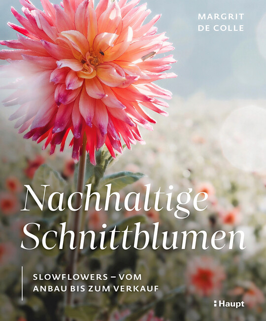 Buchtitel
