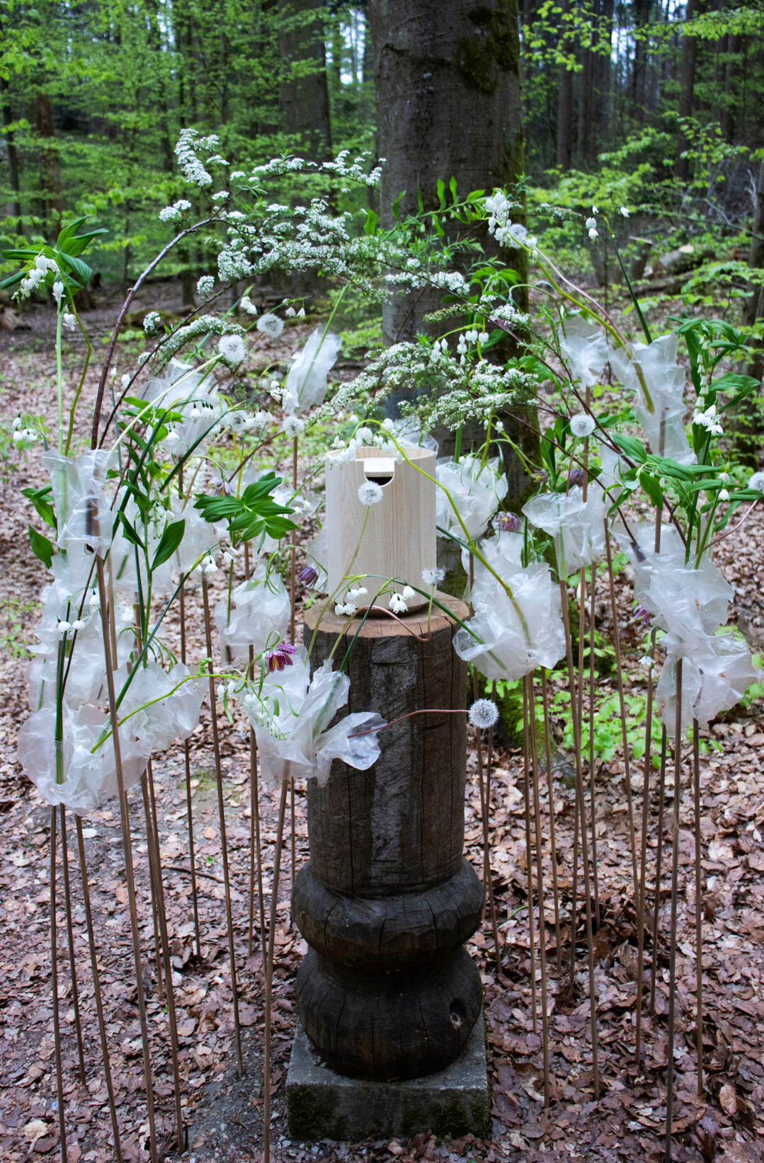 Florale Gestaltung im Wald verlangt Sensibilitt: Die Werkstcke mssen sich zurcknehmen, drfen den Ort nicht dominieren.