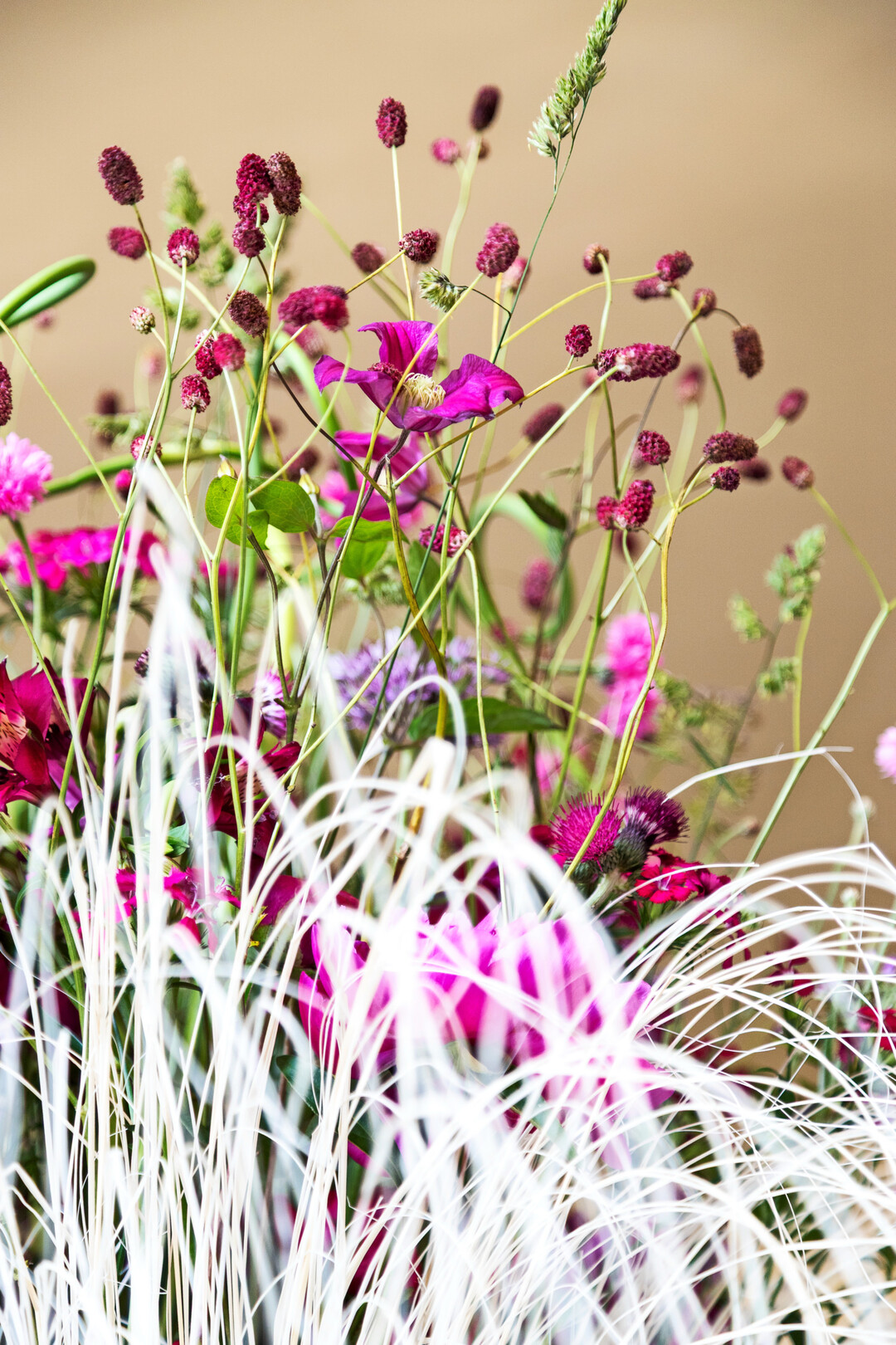 Regionale Blumen wie Pfingstrose, 
<i>Alstromeria</i>
, Phlox, 
<i>Allium</i>
 und Wiesengrsern folgen der  aufstrebenden Bewegung der Grser.