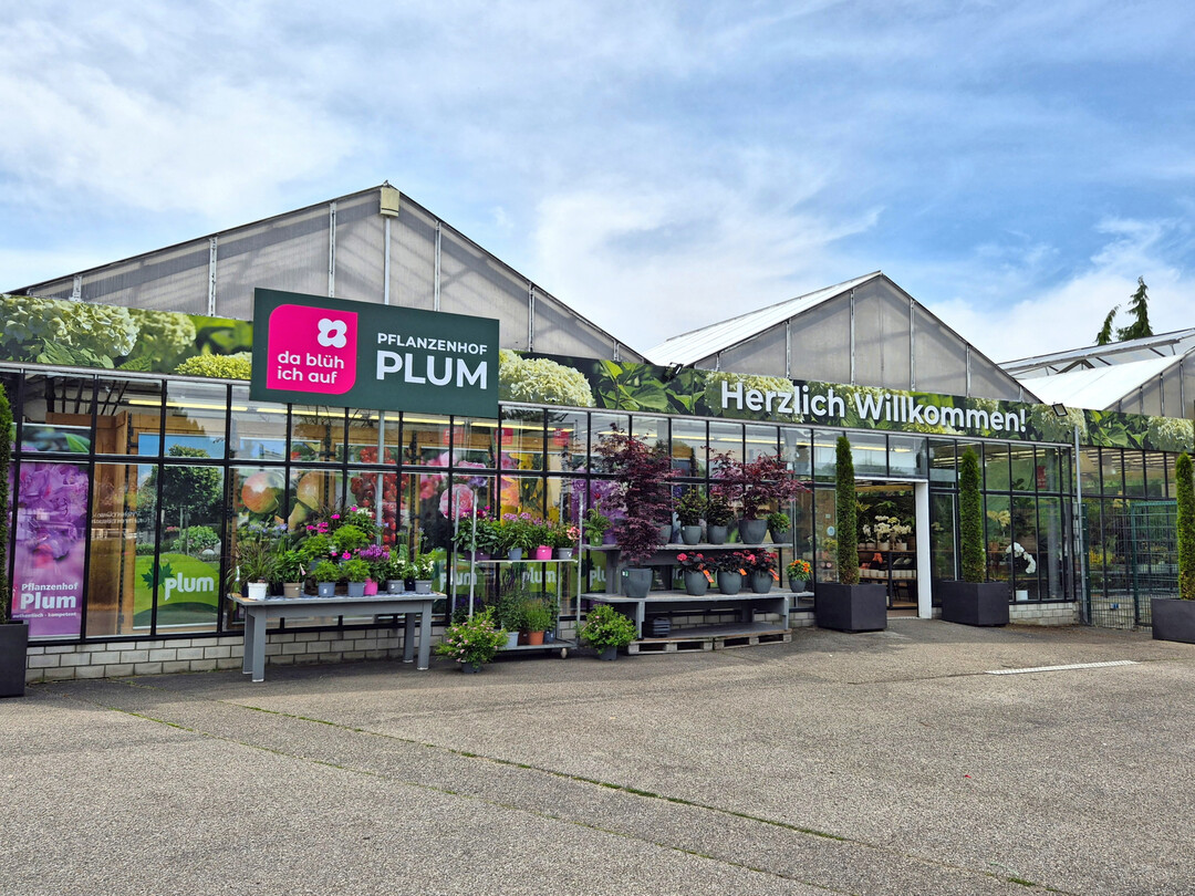 Der neue Pflanzenhof Plum, entstanden aus dem Gartencenter A. Mller-Platz