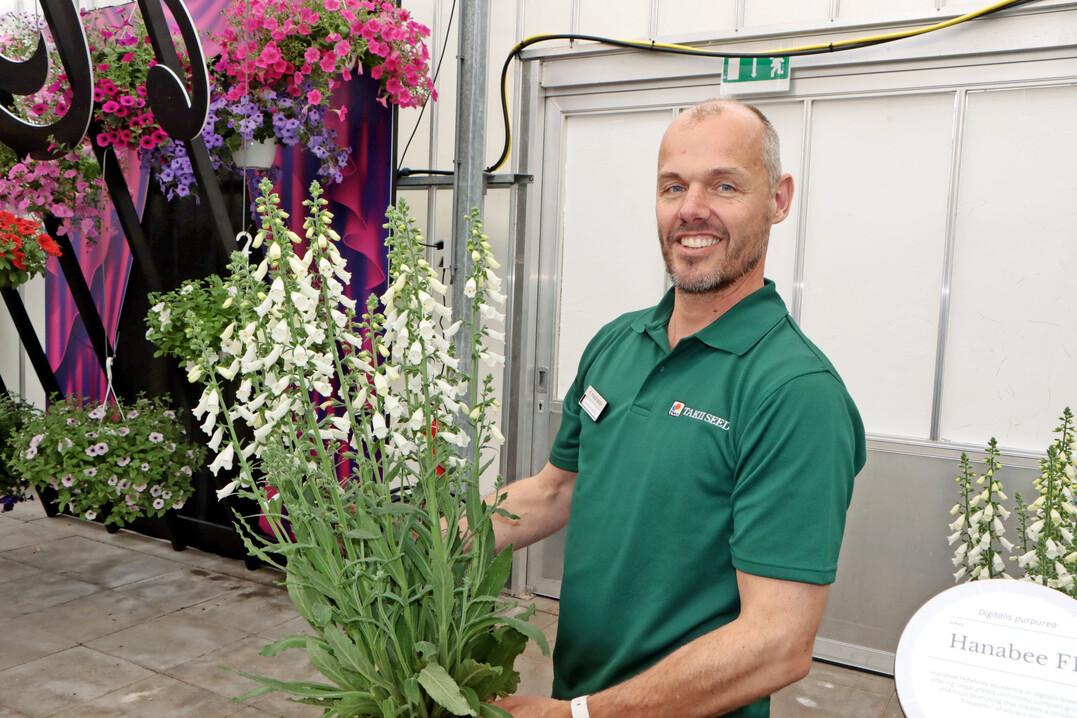Digitalis (Fingerhut) kommen derzeit in groer Vielfalt auf den Markt. Sander van der Meer von der Firma Takii zeigt Hanabee F1 White. Die Sorte gewann whrend der FlowerTrials den diesjhrigen FleuroStar-Award. 
