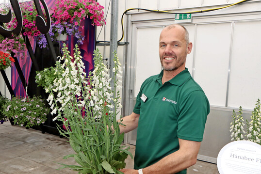 Digitalis (Fingerhut) kommen derzeit in groer Vielfalt auf den Markt. Sander van der Meer von der Firma Takii zeigt Hanabee F1 White. Die Sorte gewann whrend der FlowerTrials den diesjhrigen FleuroStar-Award. 