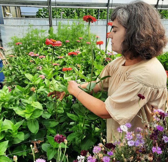 Raluca Egger, Inhaberin der Mikrofarm in Grfeling