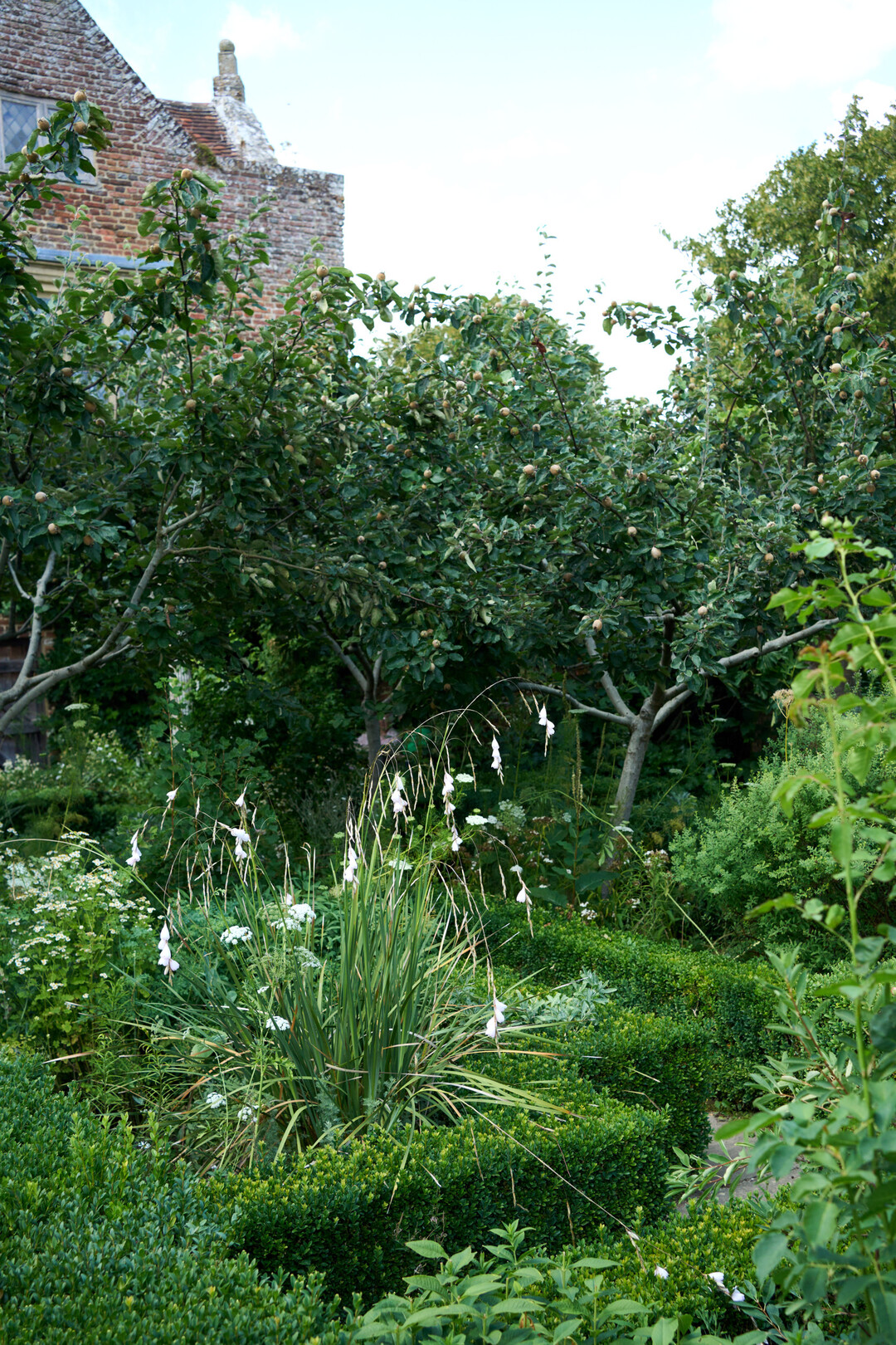 Luftige bogige Formen des Trichterschwertels treffen auf den akkuraten Buchs: Kontrast als Leitlinie.