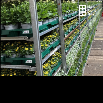 OECD und Bundeskartellamt strken deutsche Nachhaltigkeitsinitative Euro Plant Tray eG. 