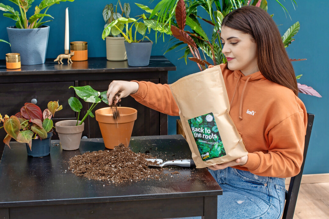 Die Werbung fr den Onlineshop Plantaddiction luft ber Reels auf Instagram sowie einen regelmigen Newsletter. Beides bespielt Ellen Keller zusammen mit einer Mitarbeiterin auf authentische Art und Weise.